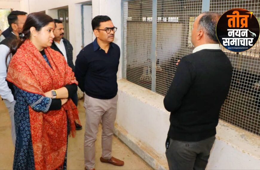 झाबुआ – कड़कनाथ को मिलेगी अंतरराष्ट्रीय पहचान , संभागायुक्त डॉ . सुदाम खाड़े ने शासकीय कुक्कुट फार्म का किया निरीक्षण ।