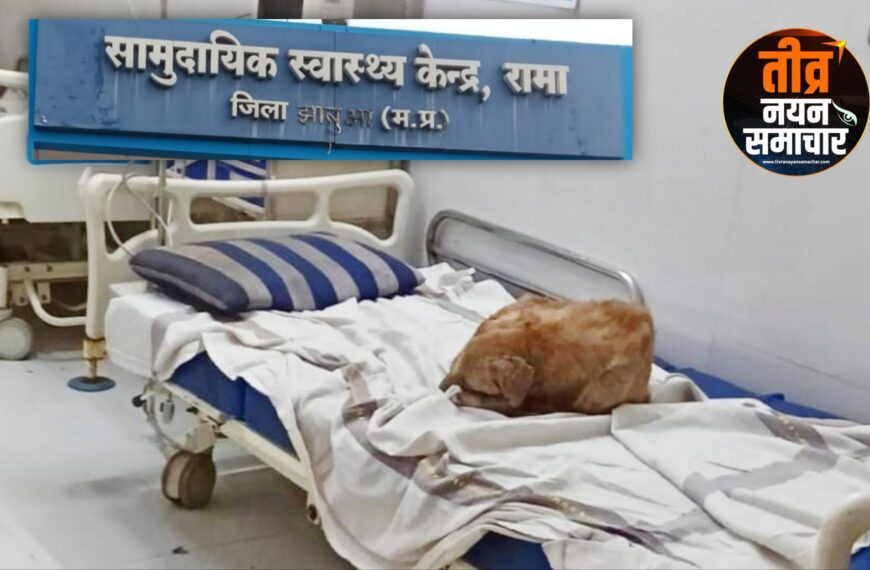 झाबुआ – सामुदायिक स्वास्थ्य केंद्र रामा में लापरवाही , मरीजों के बिस्तरों पर कुत्ते फरमा रहे आराम ।
