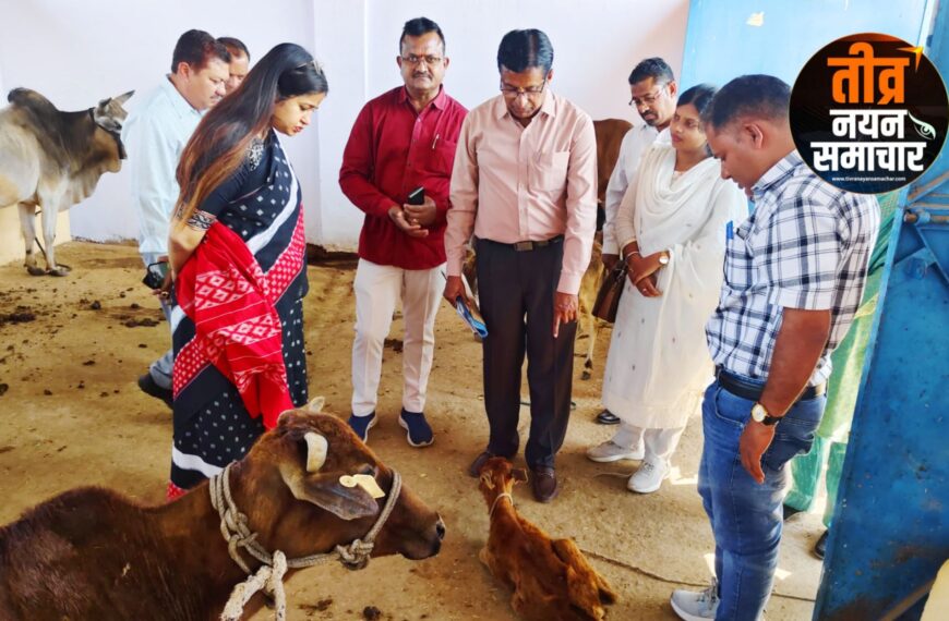 झाबुआ – कलेक्टर नेहा मीना ने चारोलीपाड़ा गौशाला का किया निरीक्षण , गौसंवर्धन एवं आजीविका को लेकर दिए आवश्यक निर्देश ।
