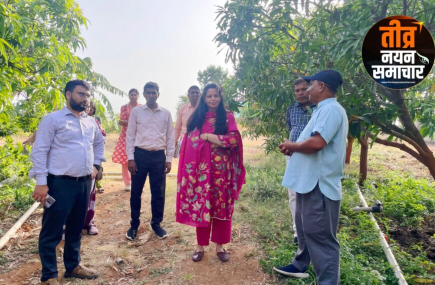 आलीराजपुर – कलेक्टर नीतू माथुर पहुंची जोबट क्षेत्र , ऑर्गेनिक आम उत्पादक किसानों के फार्मों का किया भ्रमण ।