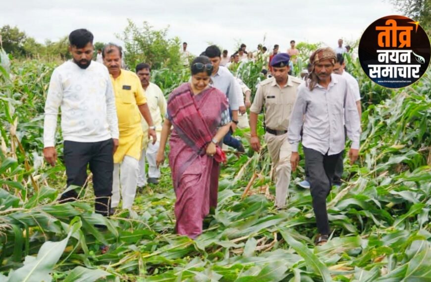 सिवनी – कलेक्टर नेहा मीना प्रभावित किसानों के खेतों में पहुंची , फसलों को हुई क्षति को देखा , अधिकारीयों को सख्त निर्देश , सर्वे में कोई किसान न छूटे ।